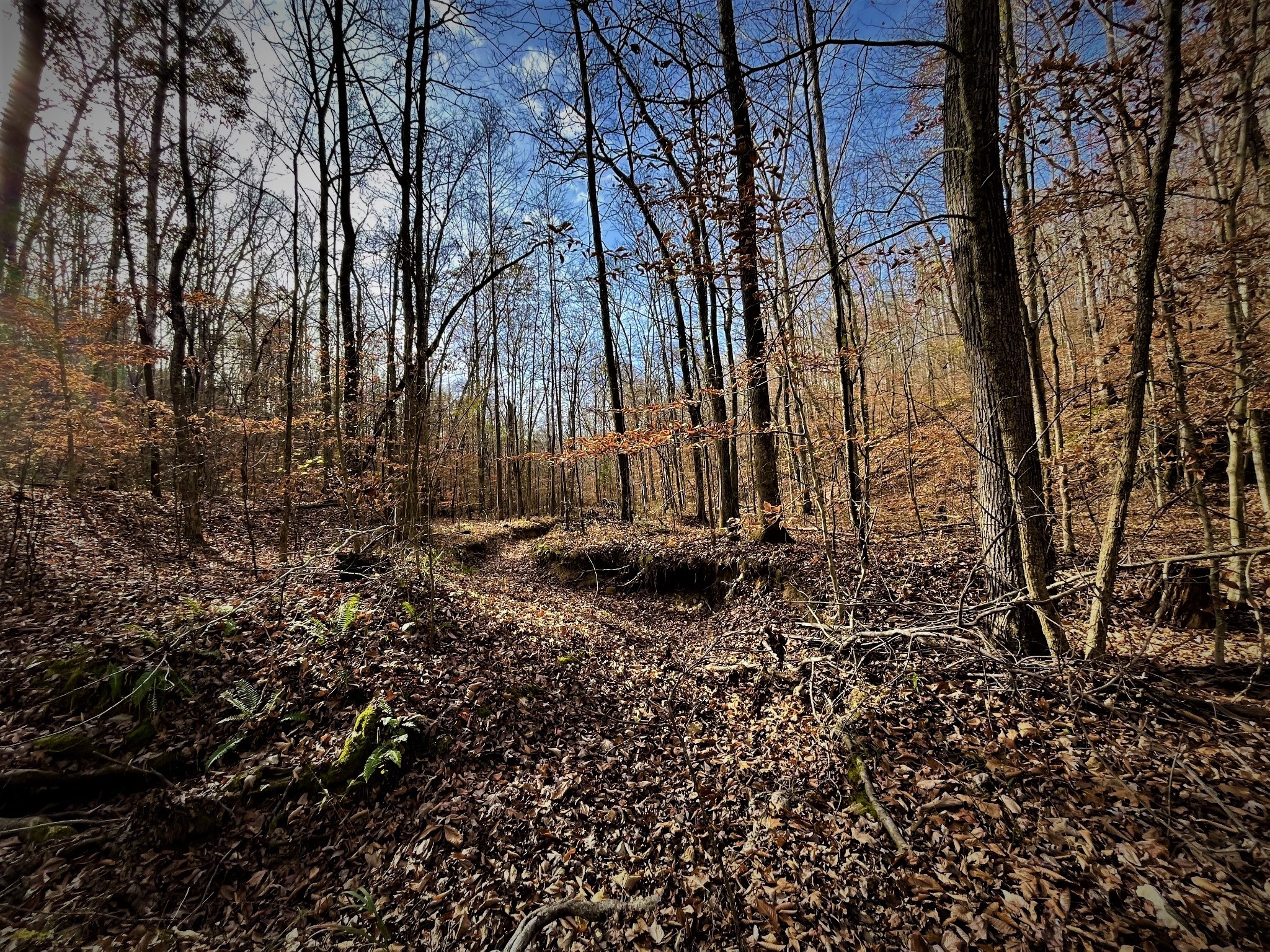 1017 Linden Farm Road Linden, TN 37096 - Photo 44 of 69 Gallery Image 44