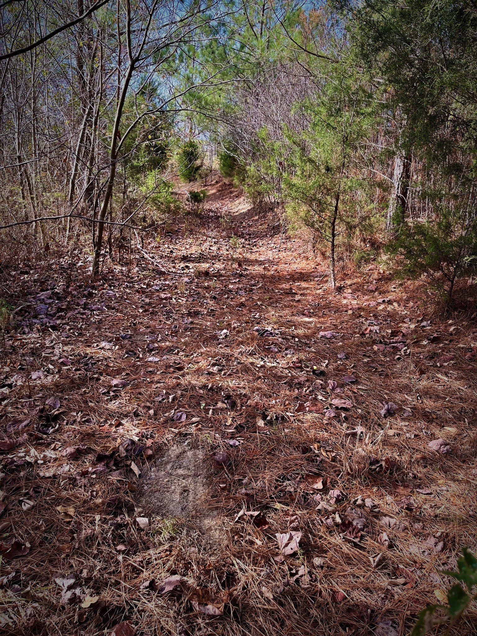 1017 Linden Farm Road Linden, TN 37096 - Photo 49 of 69 Gallery Image 49