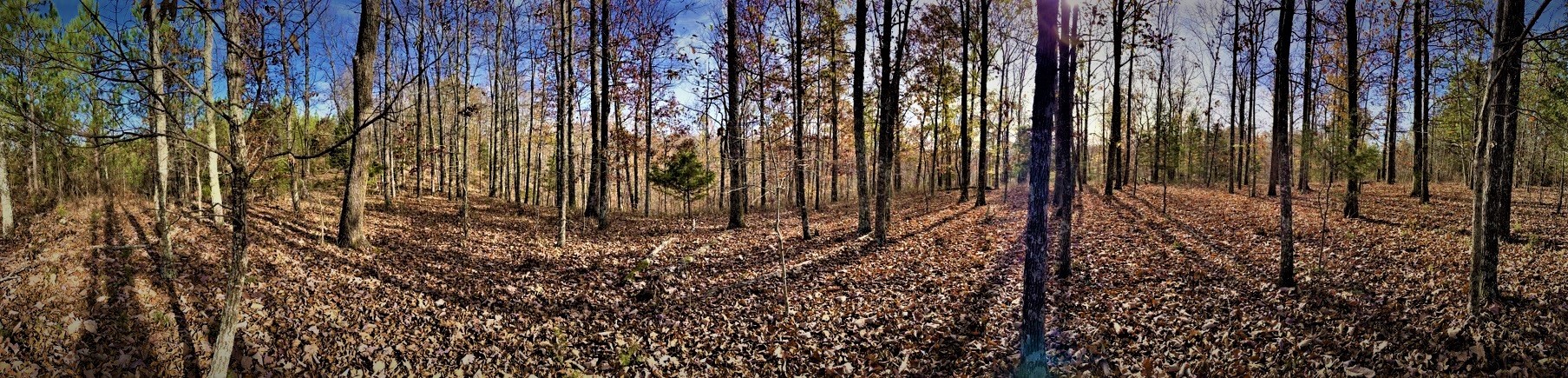 1017 Linden Farm Road Linden, TN 37096 - Photo 51 of 69 Gallery Image 51