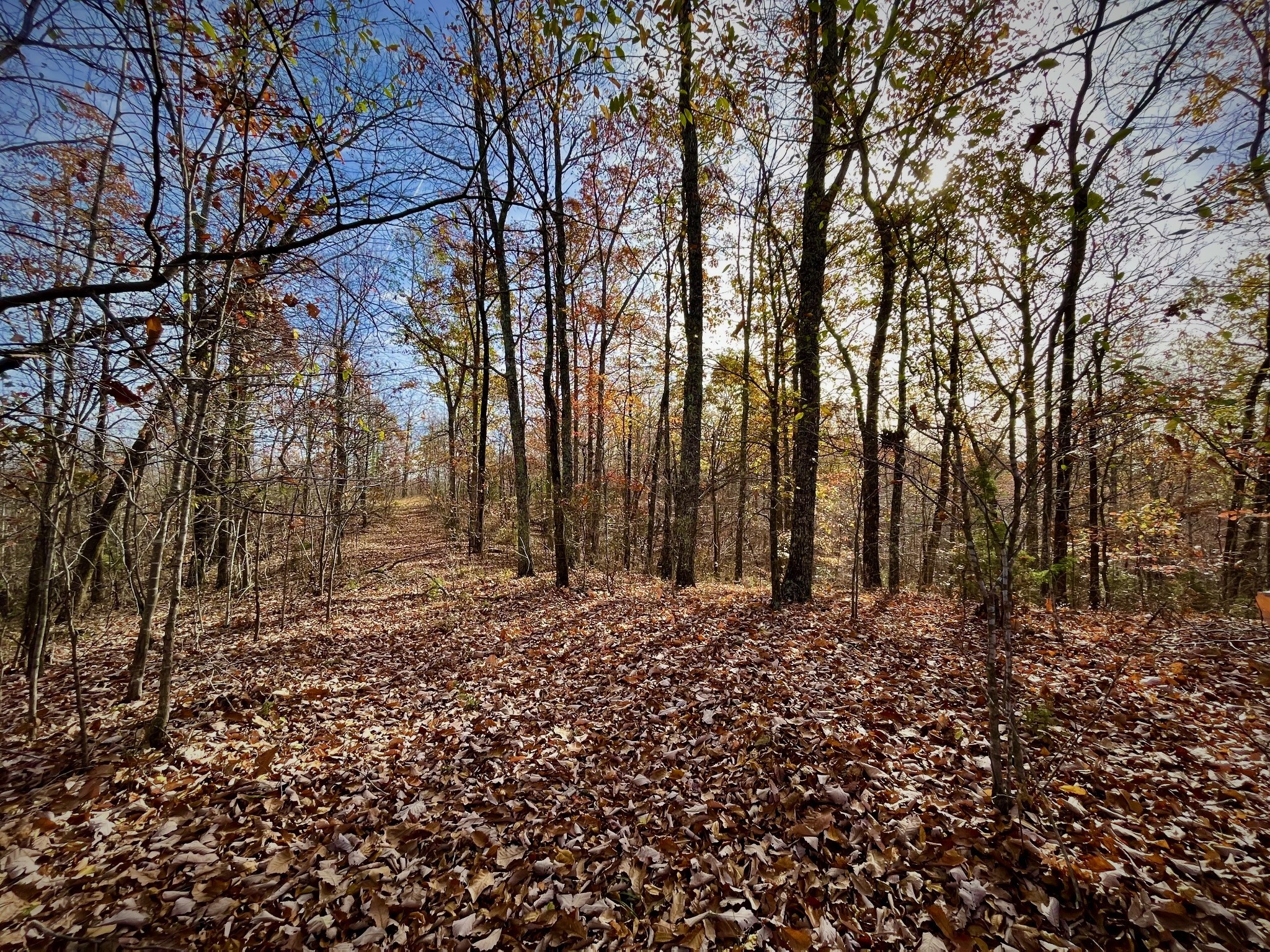 1017 Linden Farm Road Linden, TN 37096 - Photo 54 of 69 Gallery Image 54