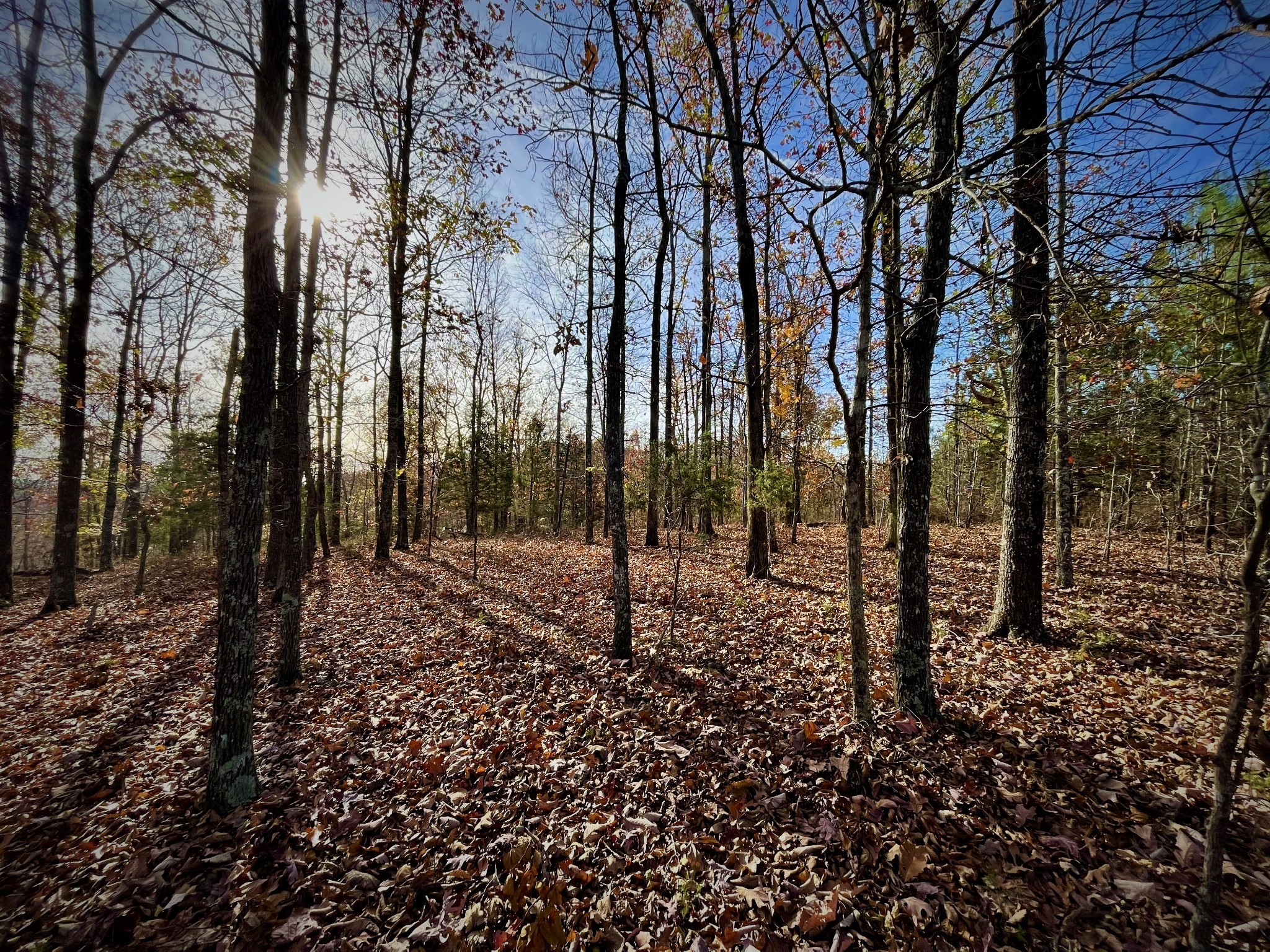 1017 Linden Farm Road Linden, TN 37096 - Photo 62 of 69 Gallery Image 62