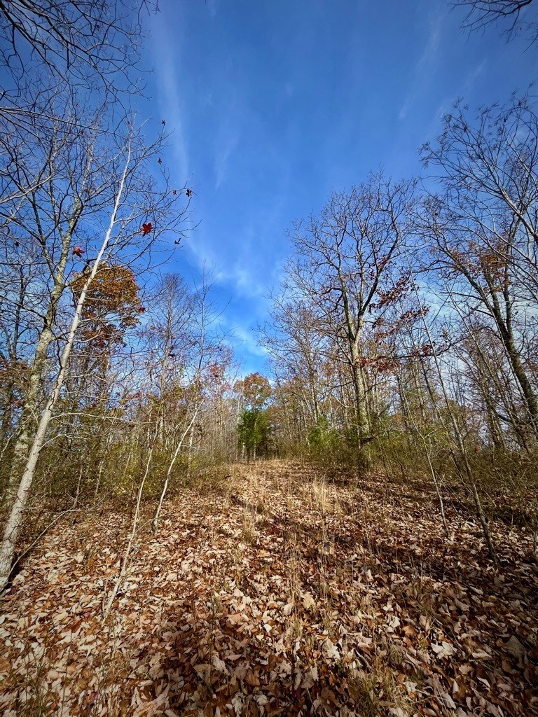 1017 Linden Farm Road Linden, TN 37096 - Photo 66 of 69 Gallery Image 66