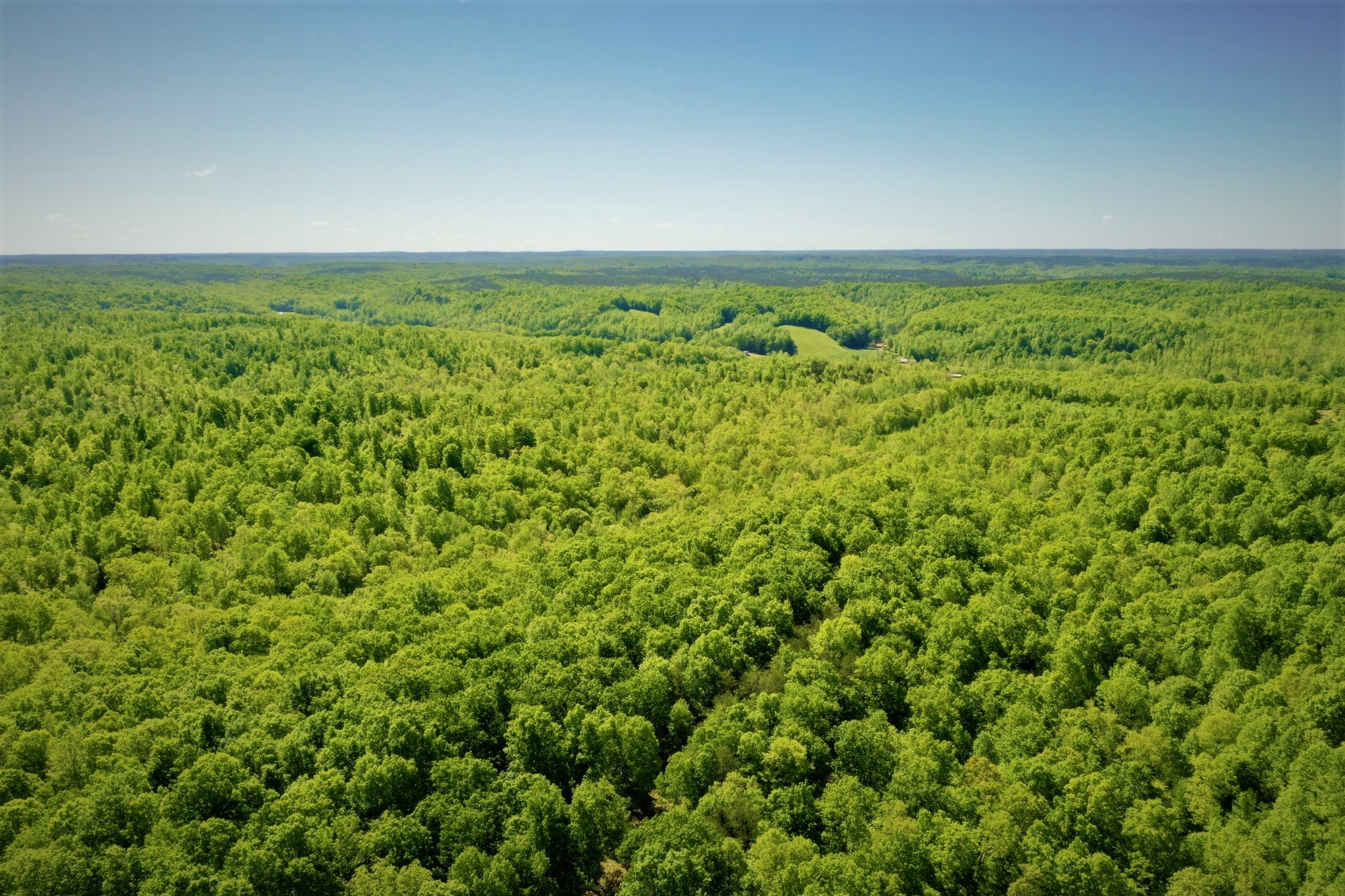 1017 Linden Farm Road Linden, TN 37096 - Photo 8 of 69 Gallery Image 8