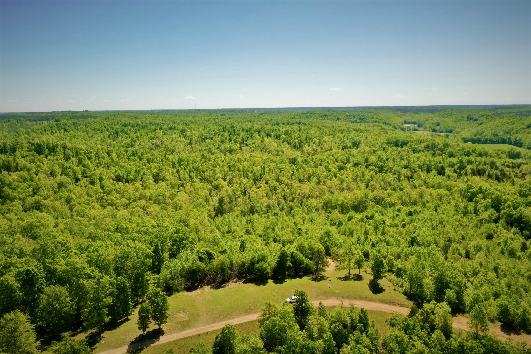1017 Linden Farm Road Linden, TN 37096 - Photo 9 of 69 Gallery Image 9