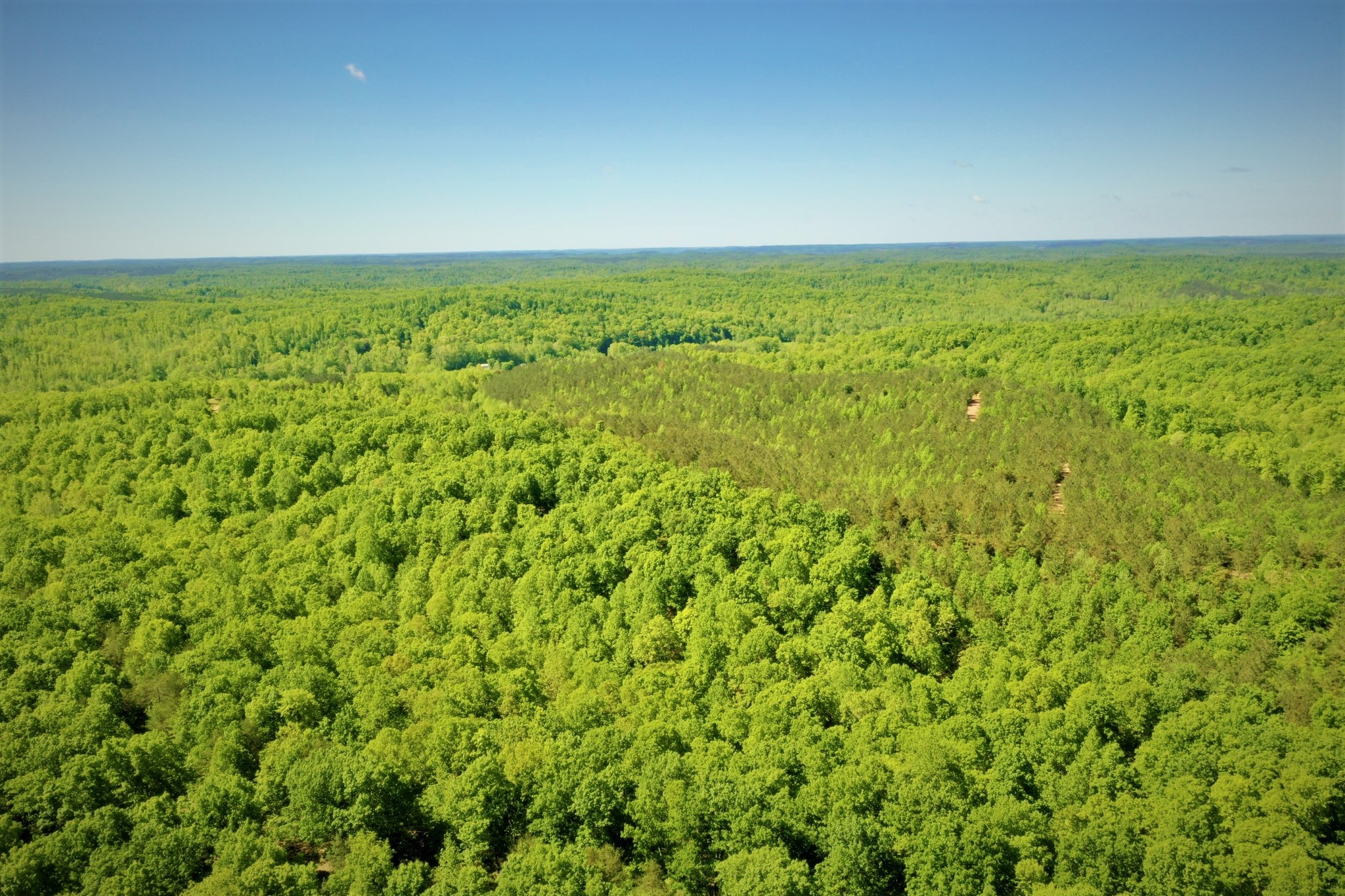 1017 Linden Farm Road Linden, TN 37096 - Photo 10 of 69 Gallery Image 10