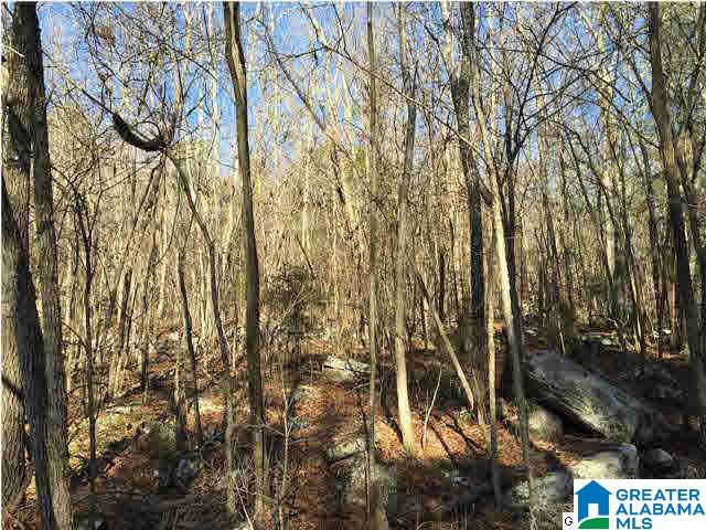 Mill Creek Road, Unit 914 Sumiton, AL 35148 - Photo 2 of 2