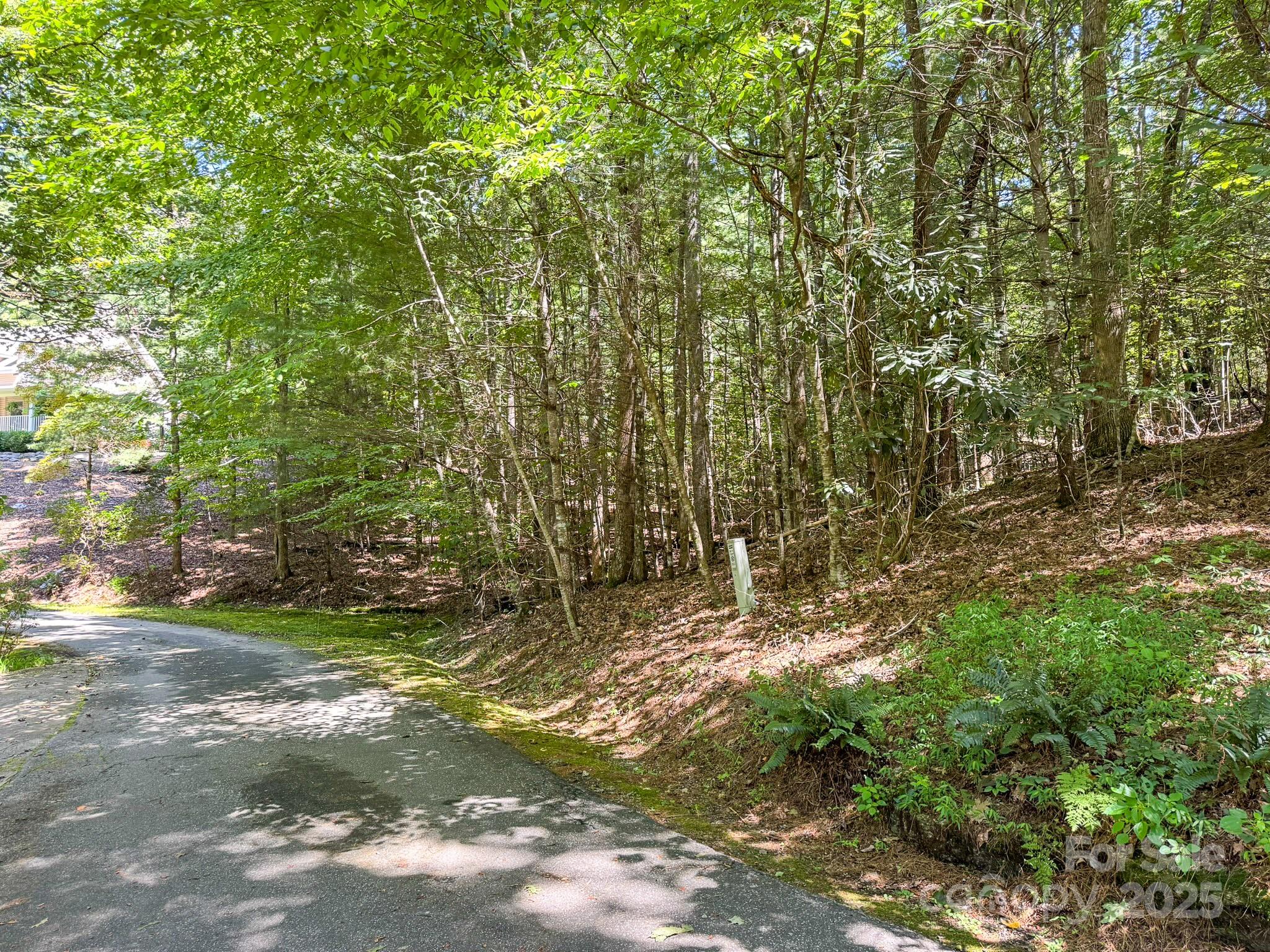 0 Spring Road, Unit 6 Hendersonville, NC 28739 - Photo 1 of 30 a view of a yard with a tree