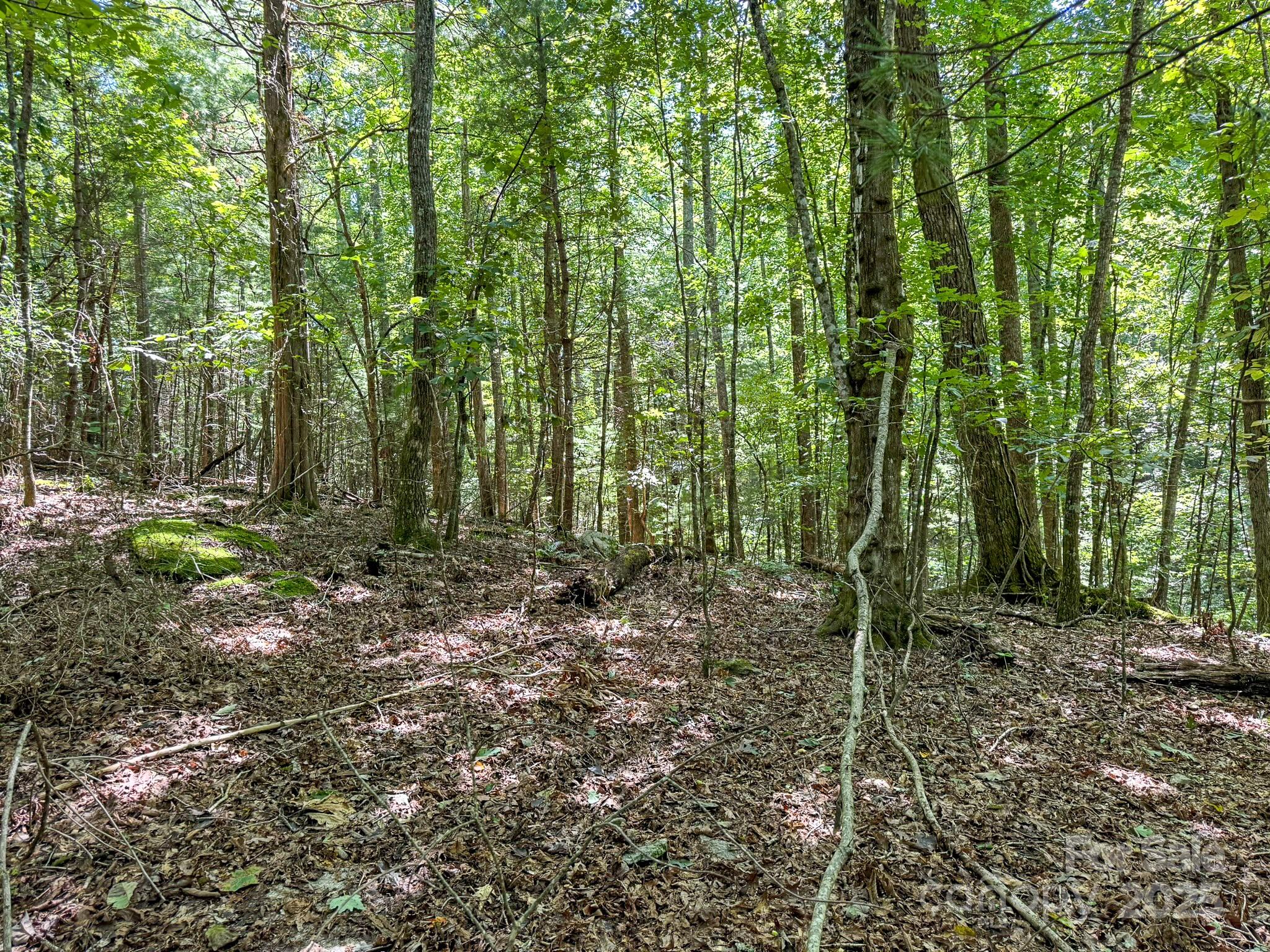 0 Spring Road, Unit 6 Hendersonville, NC 28739 - Photo 13 of 30 a view of outdoor space and green space
