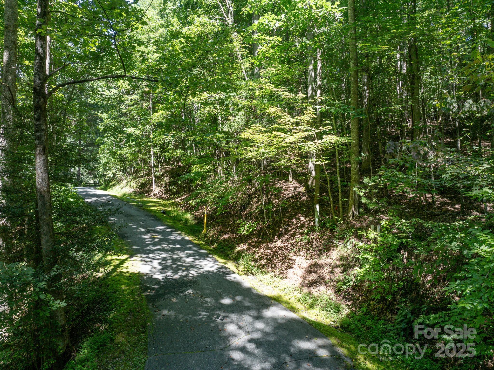 0 Spring Road, Unit 6 Hendersonville, NC 28739 - Photo 17 of 30 a backyard of a house with lots of trees