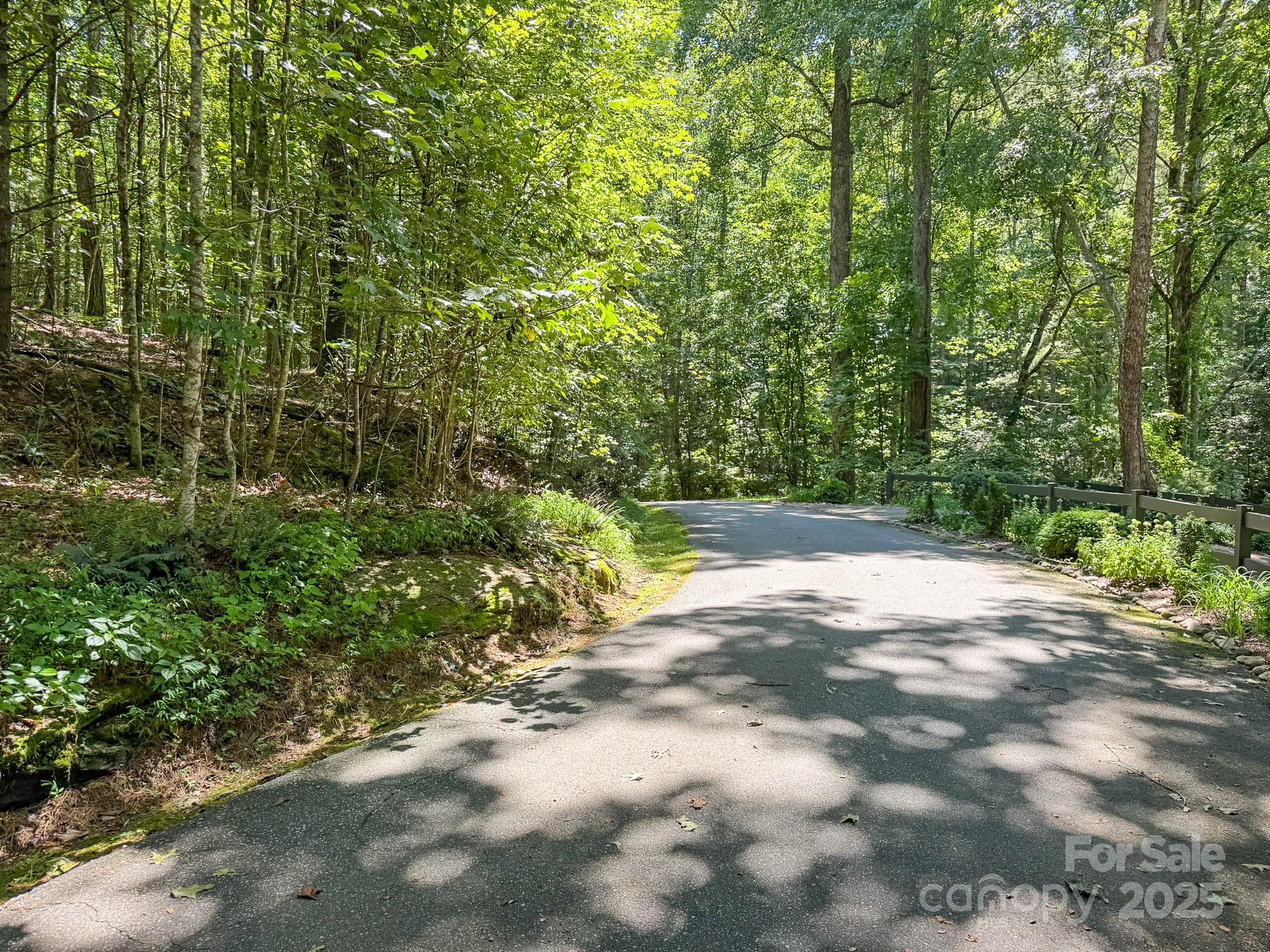 0 Spring Road, Unit 6 Hendersonville, NC 28739 - Photo 2 of 30 a view of a yard with plants and large trees