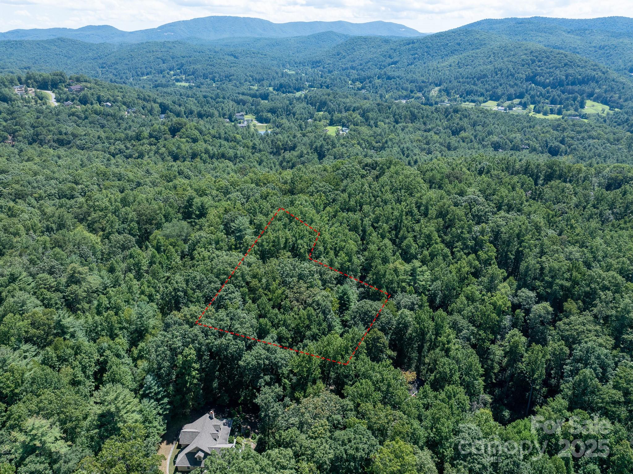 0 Spring Road, Unit 6 Hendersonville, NC 28739 - Photo 23 of 30 a view of a lush green forest with lush green forest