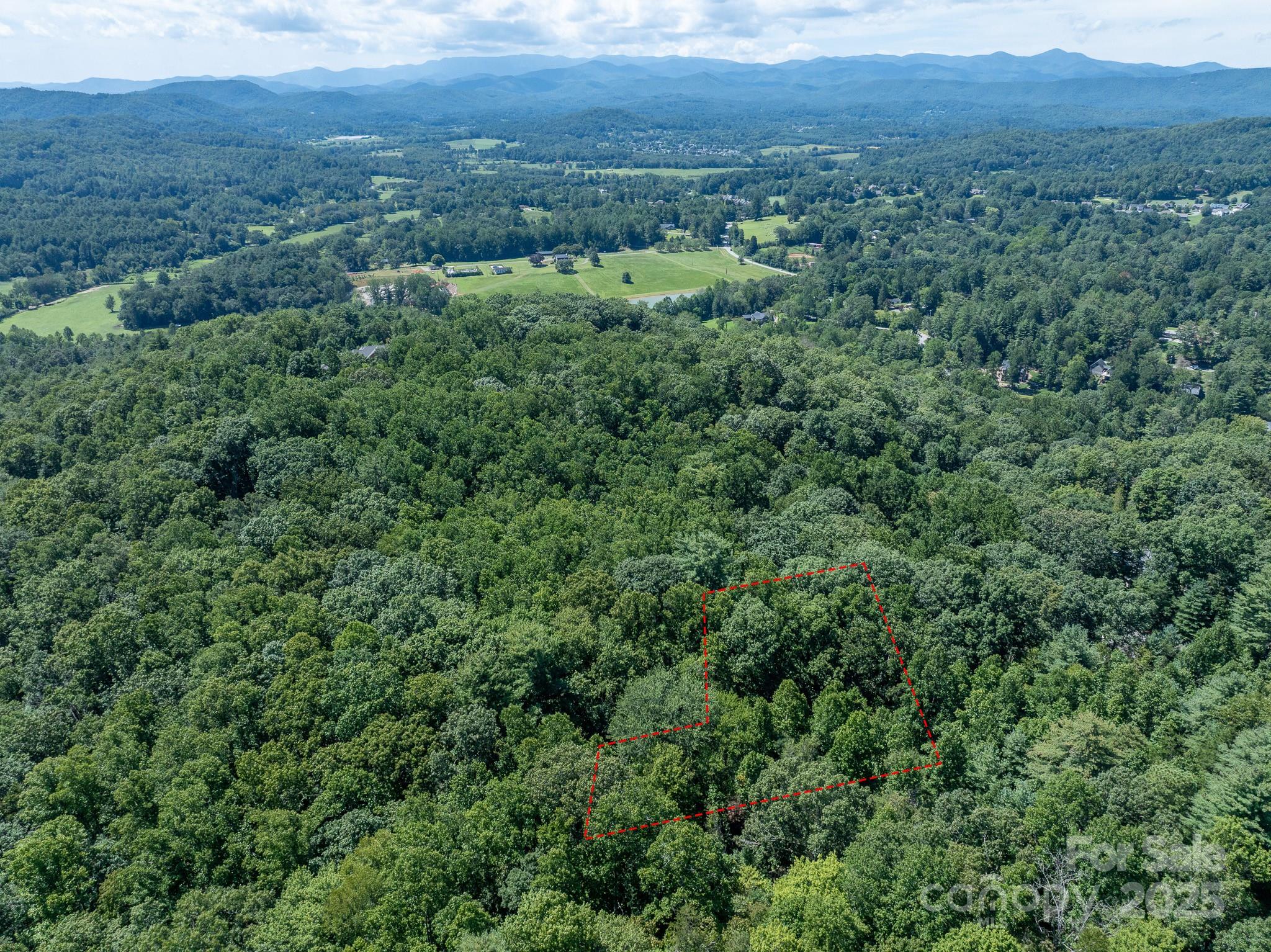0 Spring Road, Unit 6 Hendersonville, NC 28739 - Photo 25 of 30 a view of a lush green forest with trees and some houses