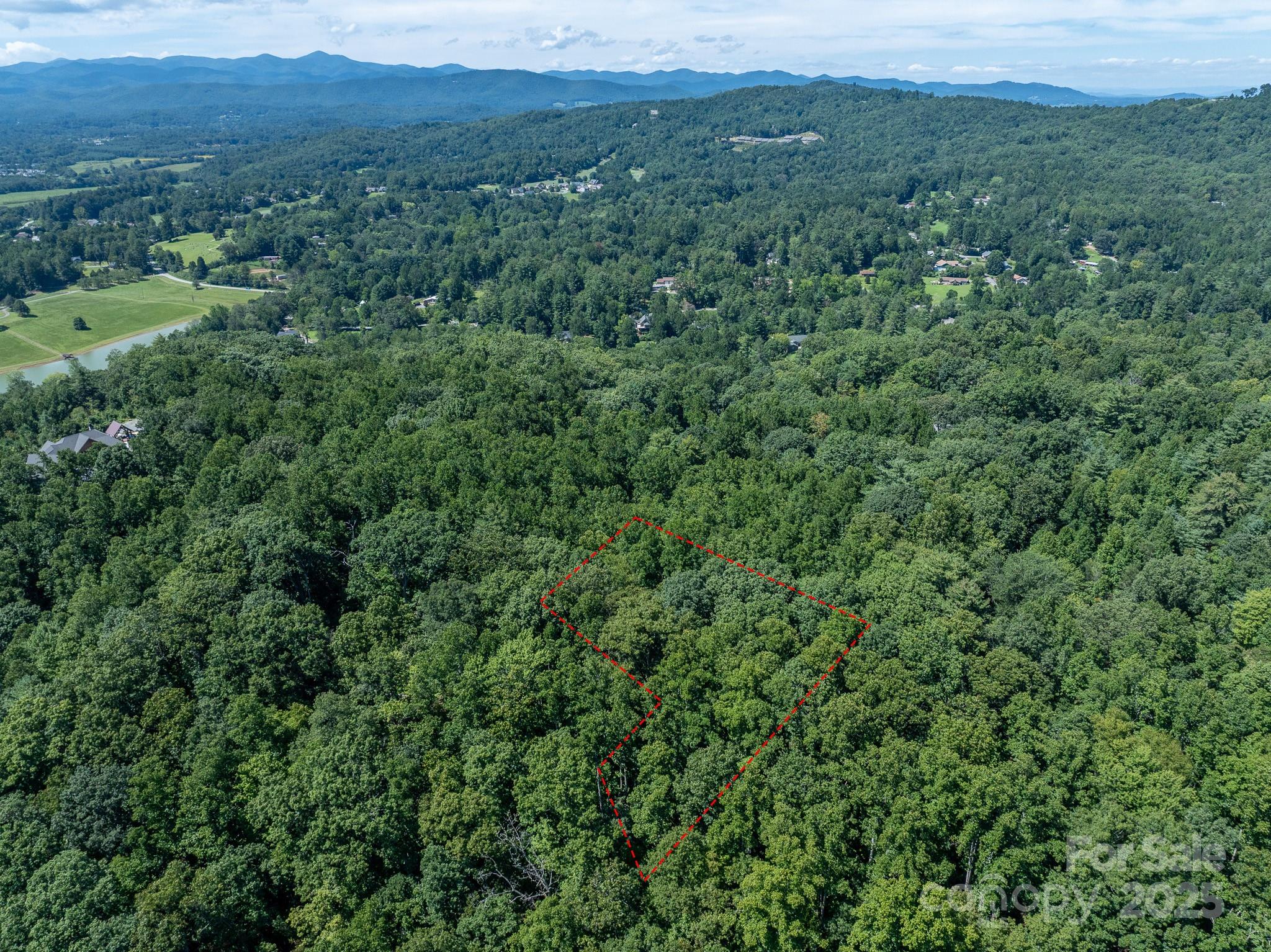 0 Spring Road, Unit 6 Hendersonville, NC 28739 - Photo 26 of 30 a view of a lush green forest with trees and some houses