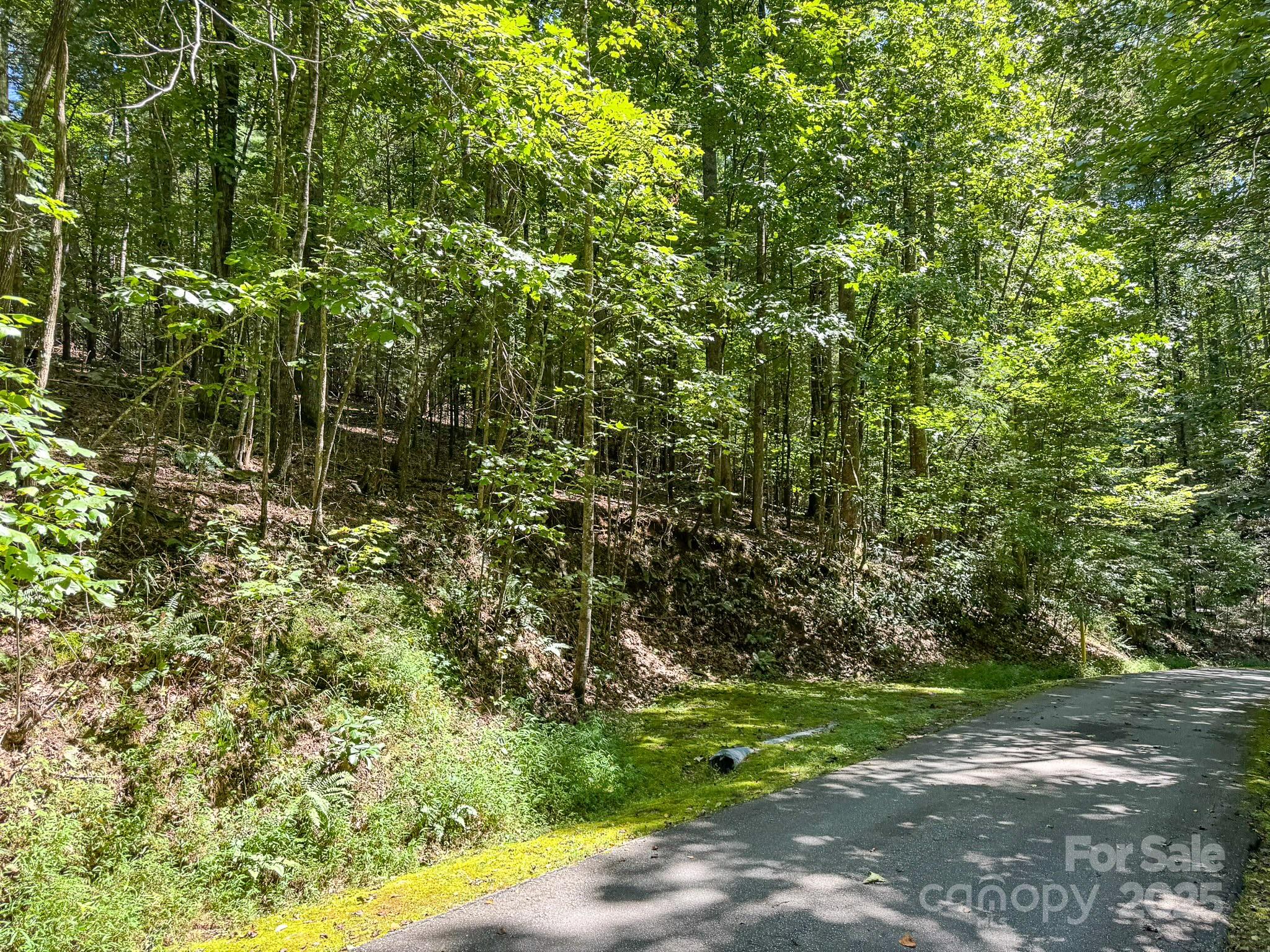 0 Spring Road, Unit 6 Hendersonville, NC 28739 - Photo 9 of 30 a view of a yard