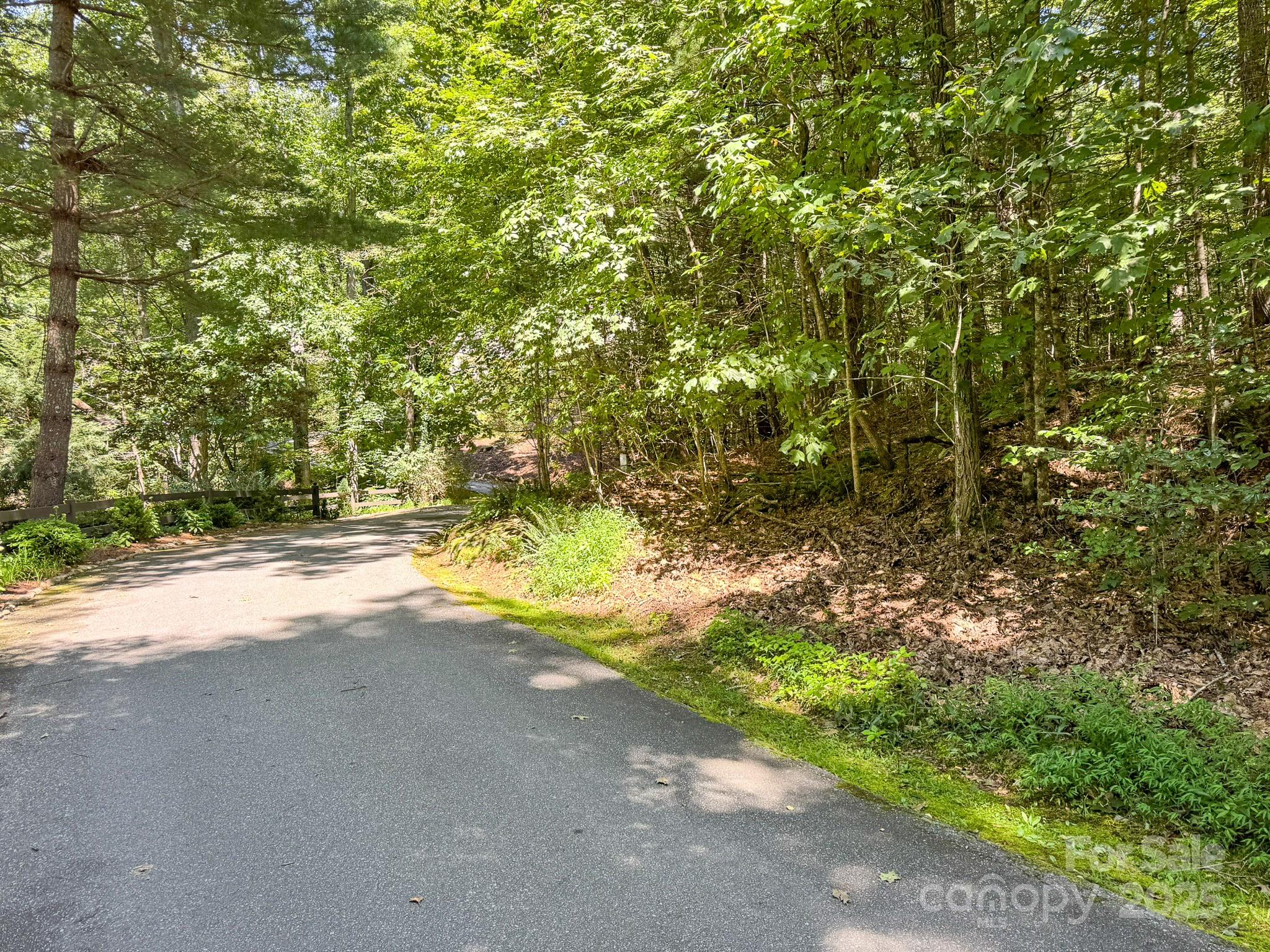 0 Spring Road, Unit 6 Hendersonville, NC 28739 - Photo 10 of 30 a view of a yard with a tree