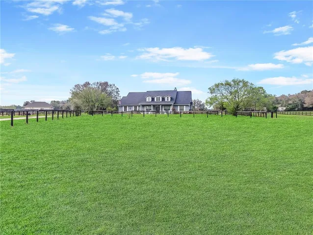 a view of a grassy field with an trees