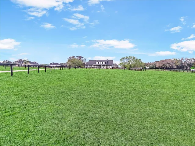 a view of a big yard with plants and large trees