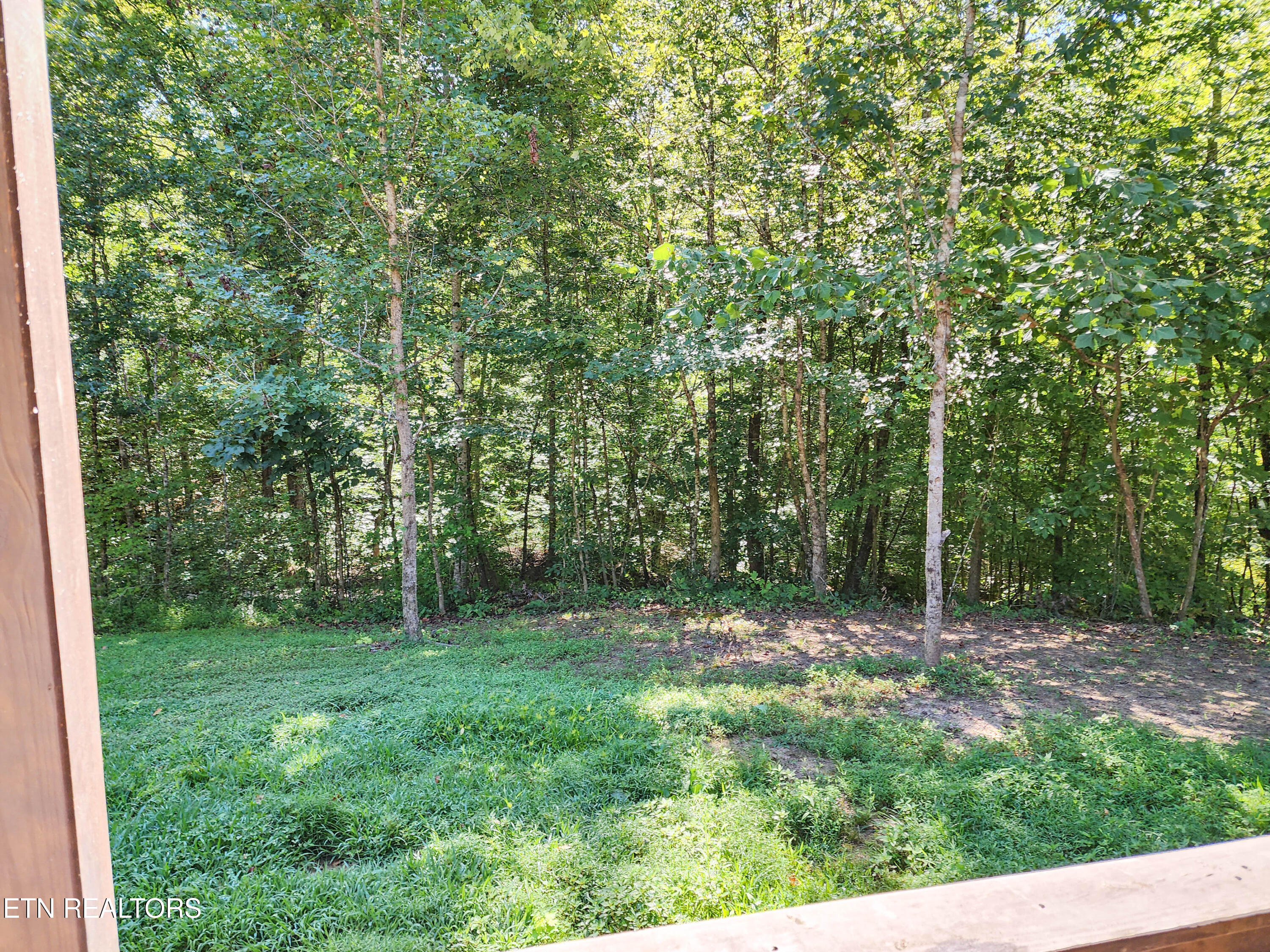 249 Texas Hollow Road Luttrell, TN 37779 - Photo 10 of 41 texas hollow land