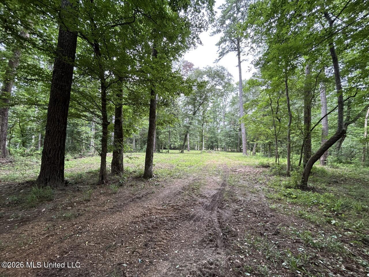 6642 Grange Hall Road Osyka, MS 39657 - Photo 7 of 50 IMG_4351 Large