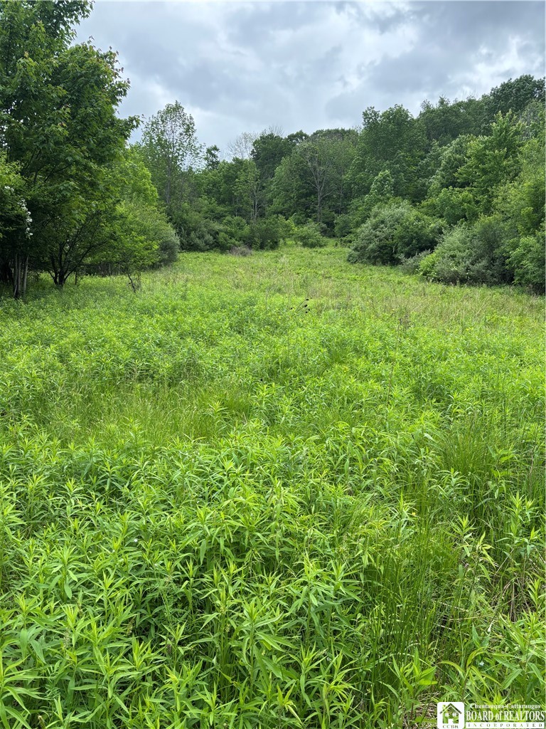 1471 Loomis Road Rexville, NY 14877 - Photo 22 of 50