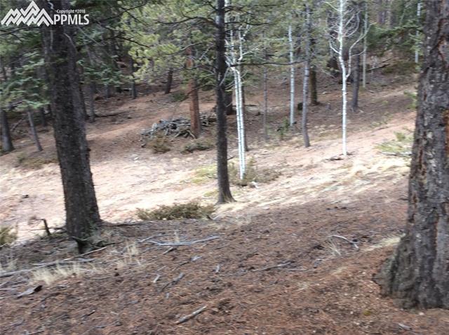 26 Mica Road Divide, CO 80814 - Photo 13 of 14