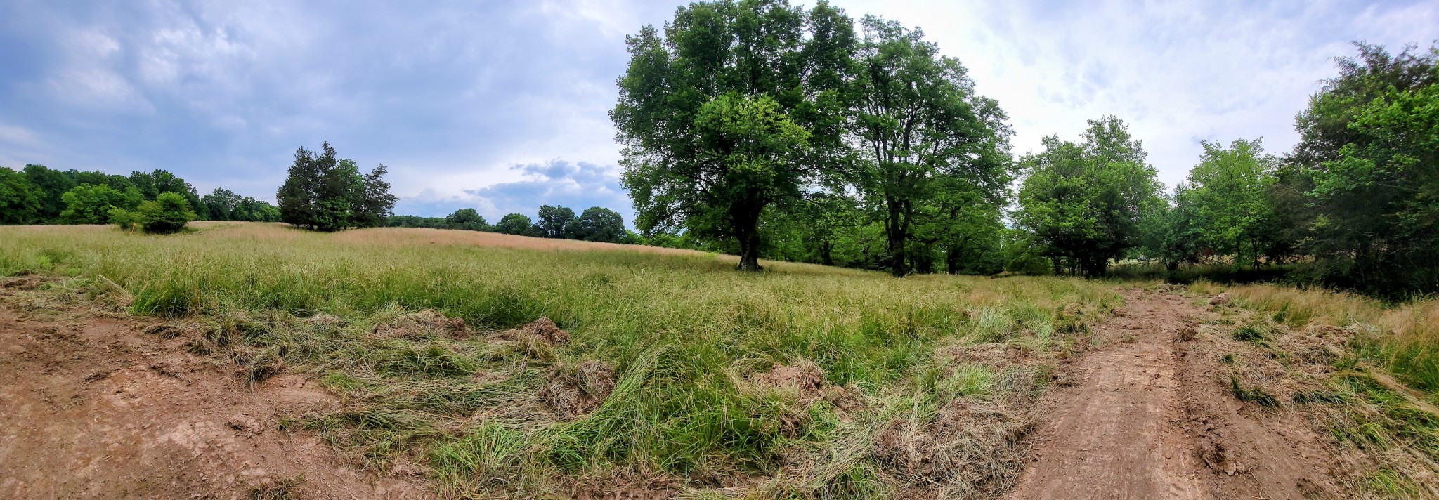 0 Access Road Pulaski, TN 38478 - Photo 7 of 9 Gallery Image 7