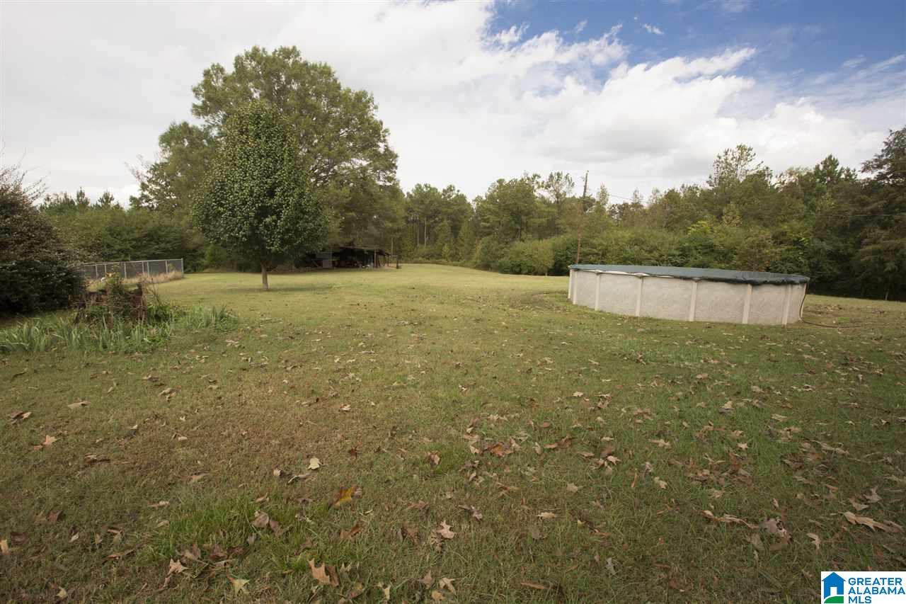 4525 Spunky Hollow Road Remlap, AL 35133 - Photo 22 of 22