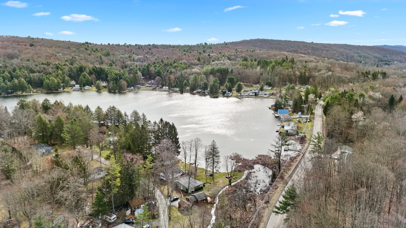 10 Deer Lake Road Windsor, NY 13865 - Photo 28 of 28