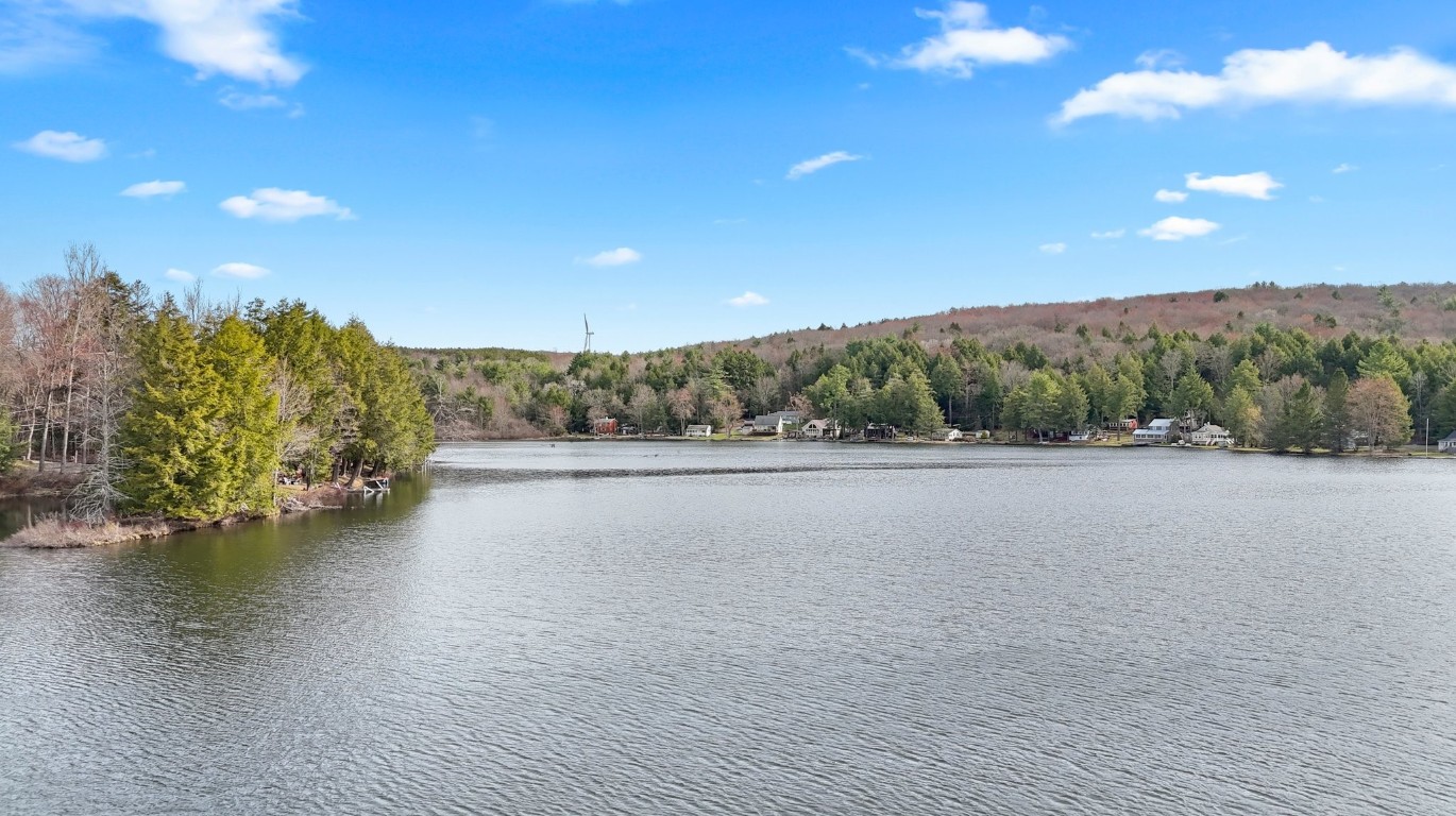 10 Deer Lake Road Windsor, NY 13865 - Photo 3 of 28