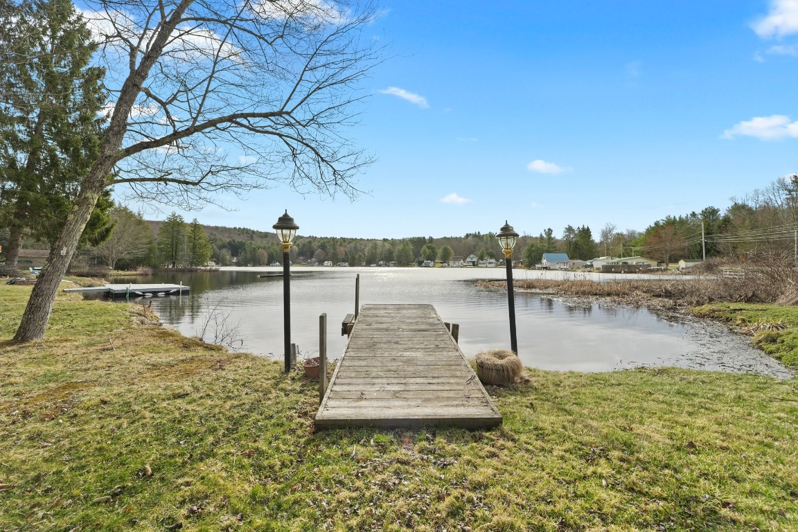 10 Deer Lake Road Windsor, NY 13865 - Photo 5 of 28