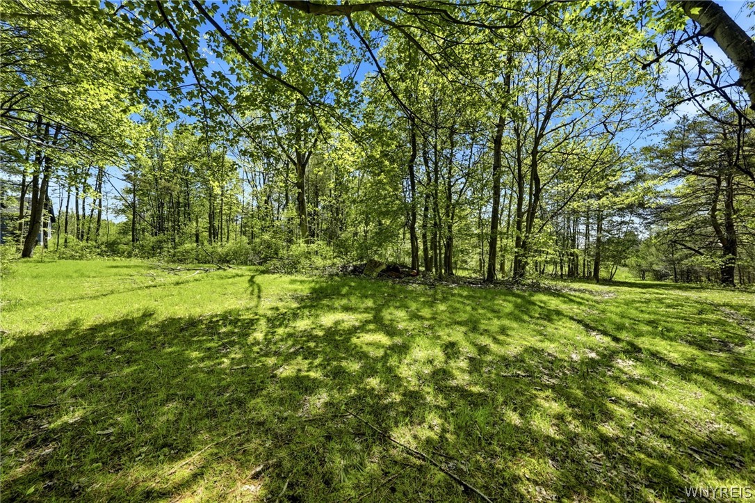 6467 Chestnut Ridge Road Orchard Park, NY 14127 - Photo 33 of 45