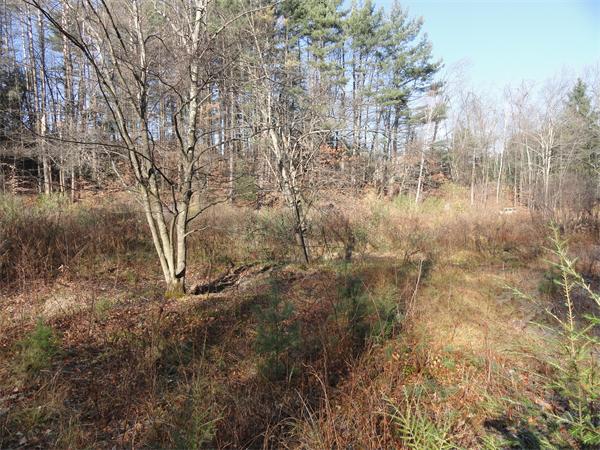 0 Bay Road Amherst, MA 01002 - Photo 2 of 6 Gallery Image 2