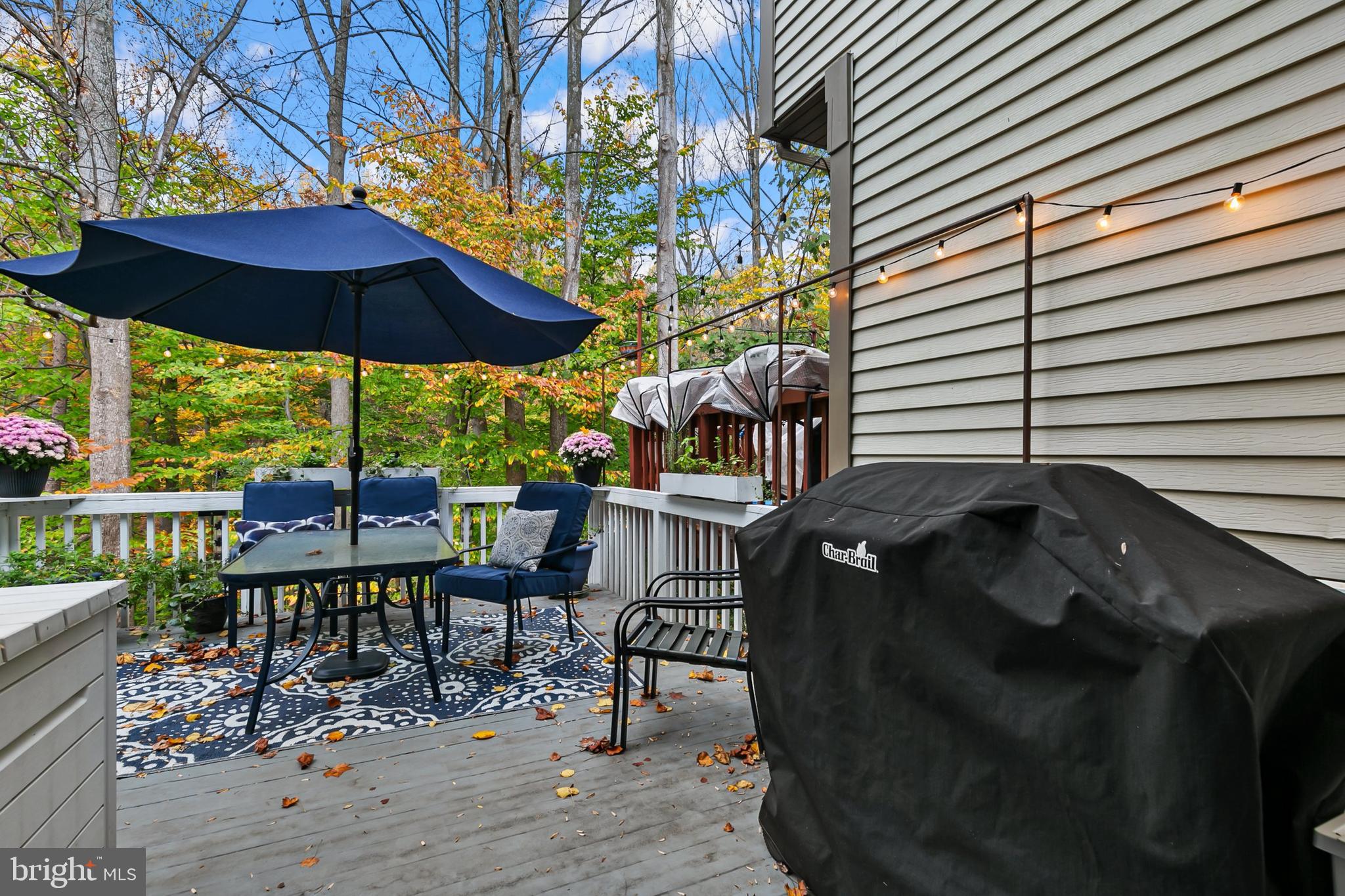 102 Finale Terrace Silver Spring, MD 20901 - Photo 55 of 59