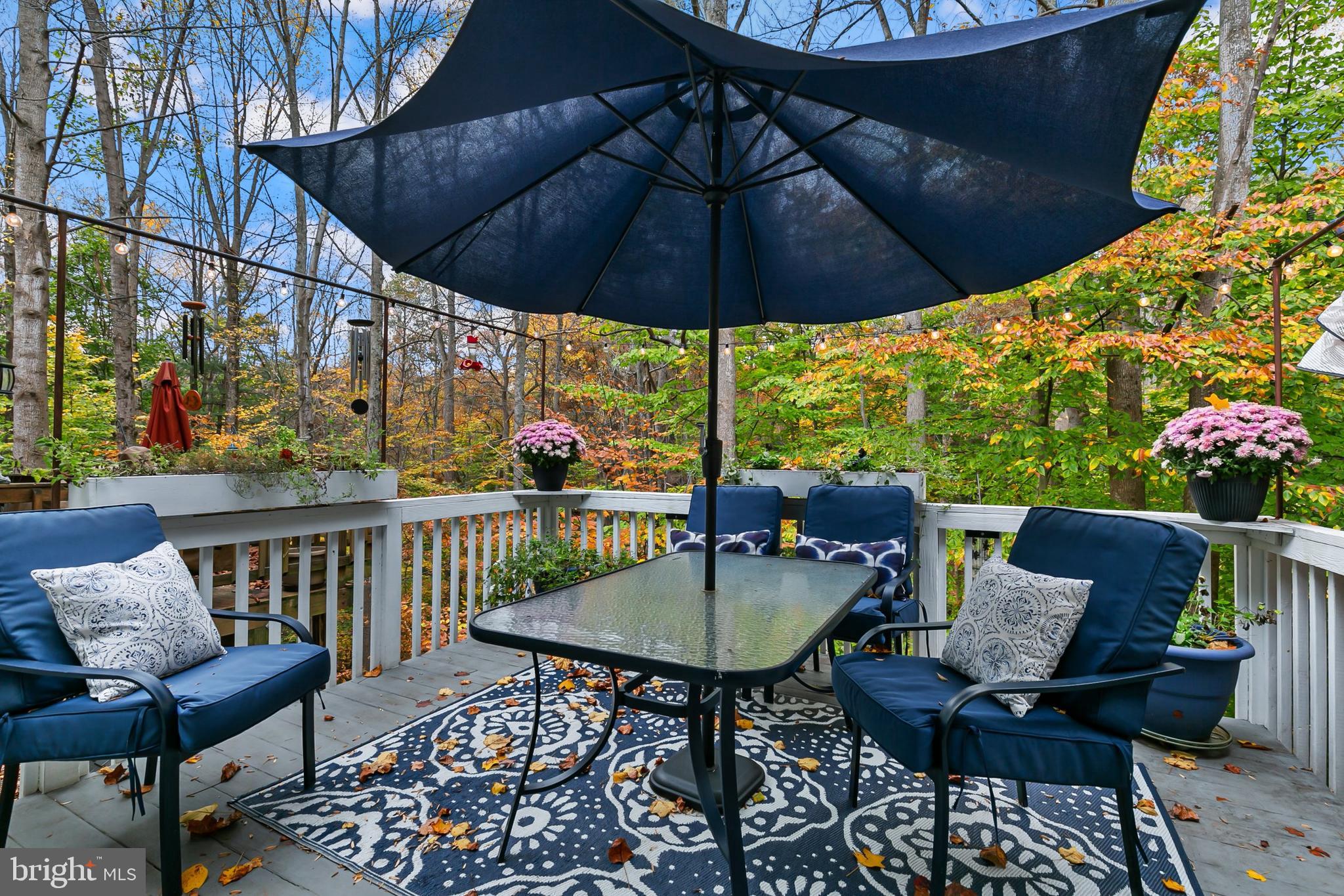 102 Finale Terrace Silver Spring, MD 20901 - Photo 56 of 59