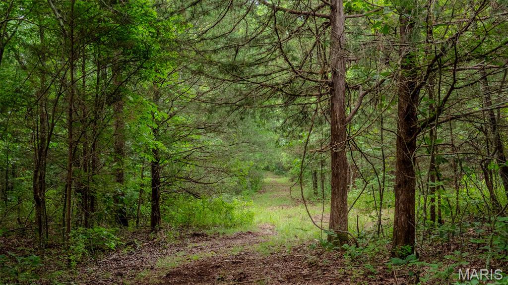 0 Hwy M Cabool, MO 65689 - Photo 11 of 68