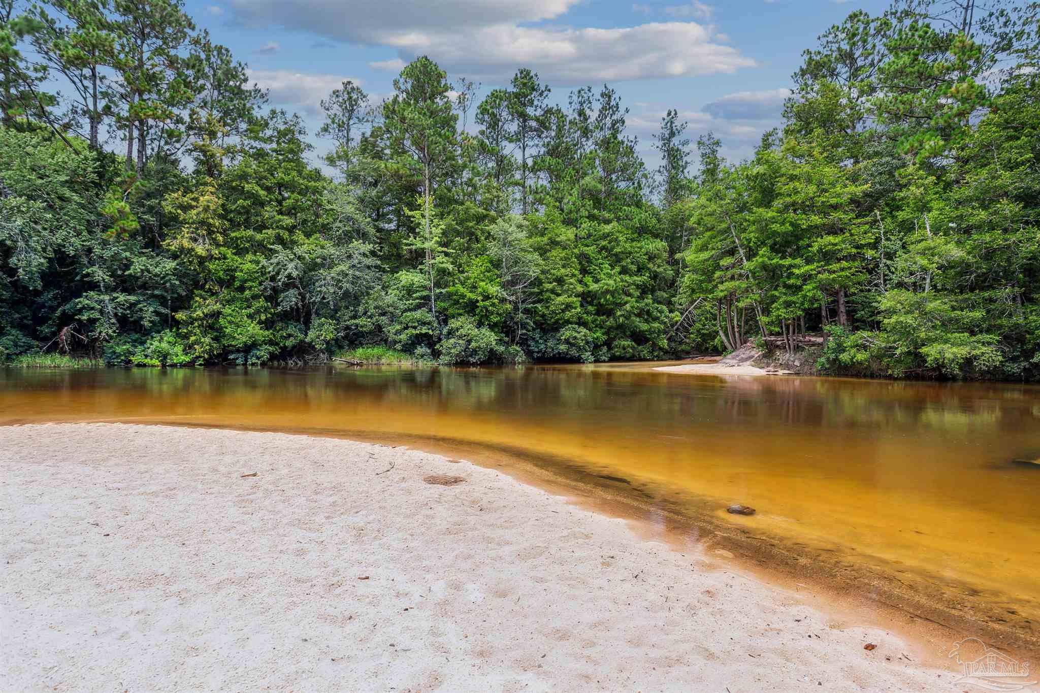 0 Steel Bridge Road Milton, FL 32570 - Photo 14 of 22 Gallery Image 14