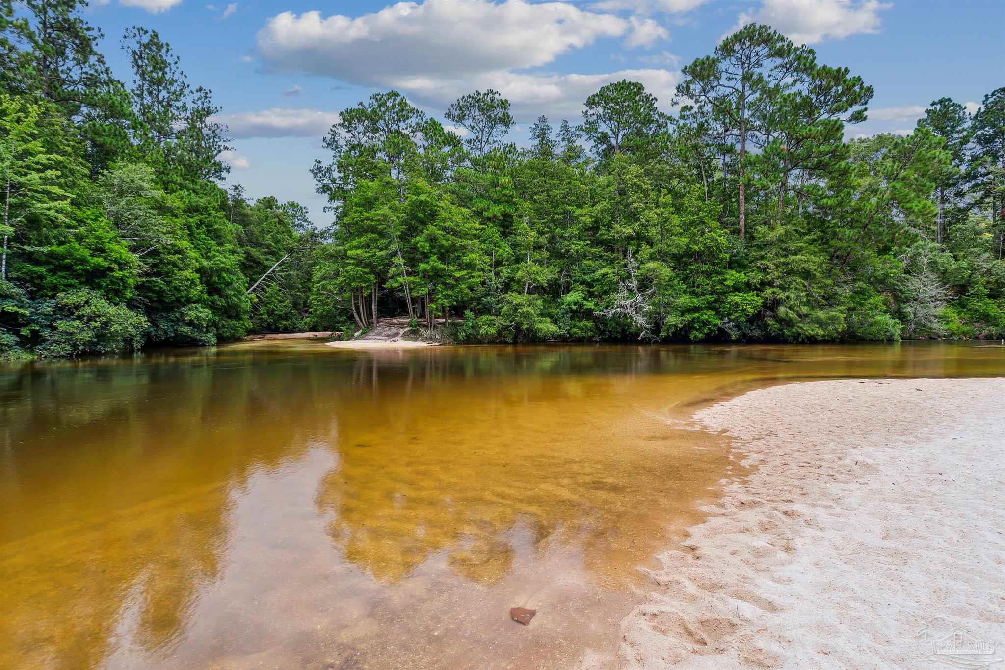 0 Steel Bridge Road Milton, FL 32570 - Photo 16 of 22 Gallery Image 16