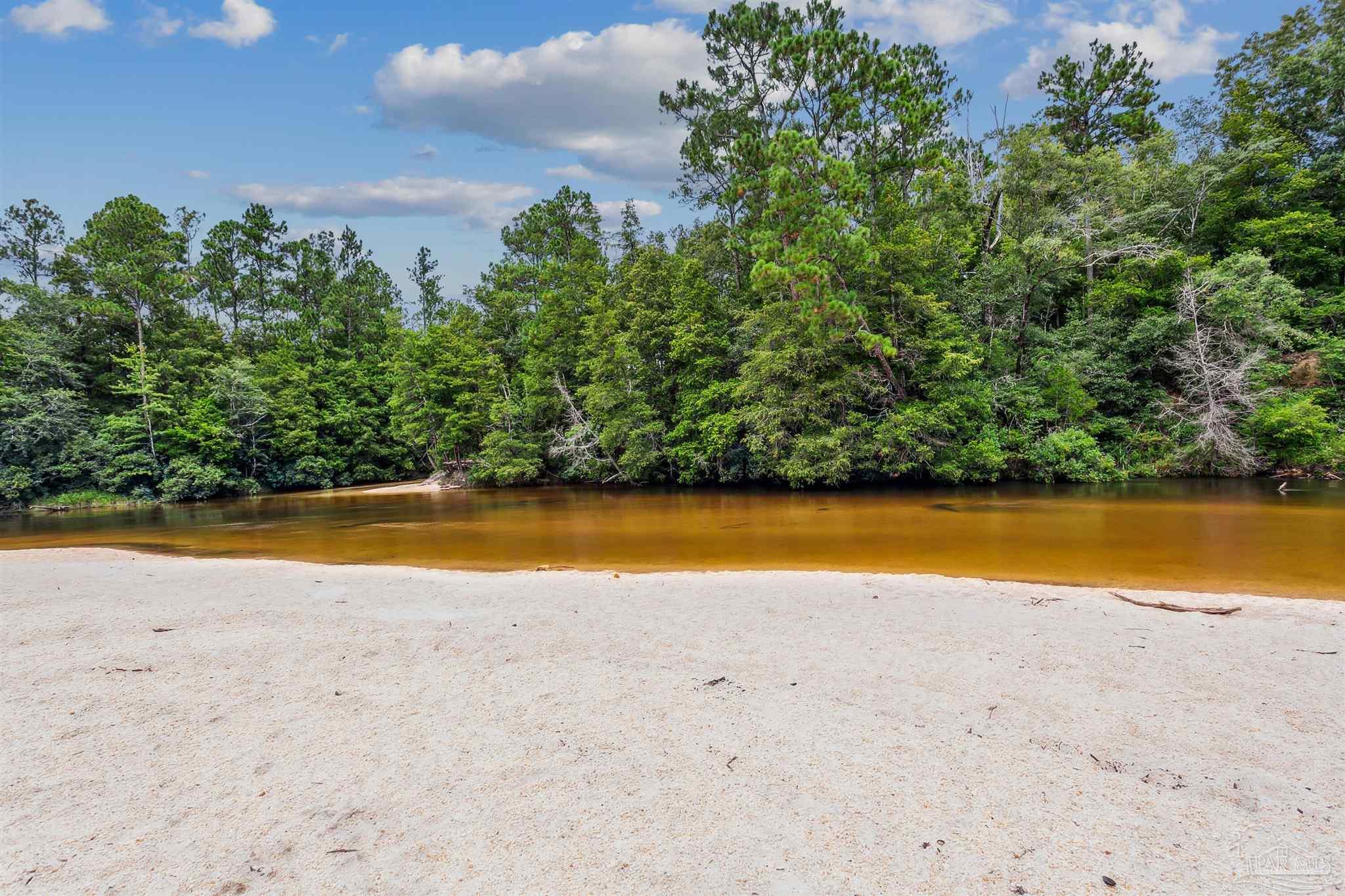 0 Steel Bridge Road Milton, FL 32570 - Photo 18 of 22 Gallery Image 18