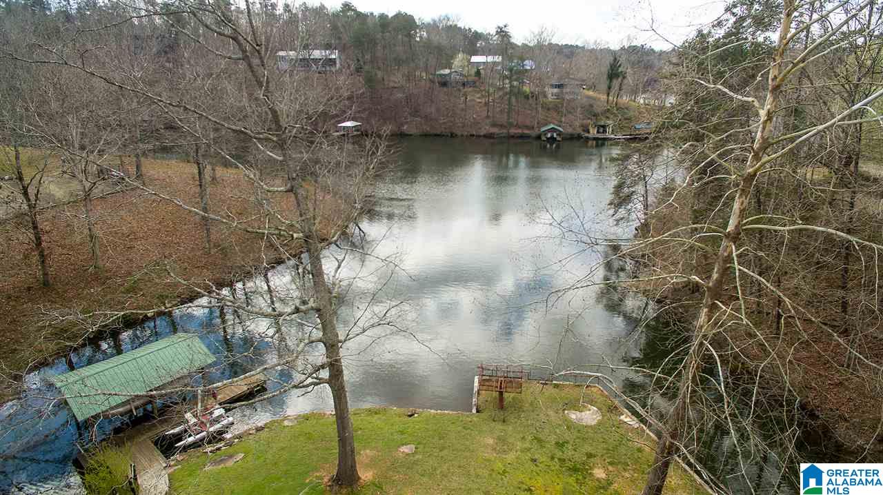 401 Lakeshore Loop Oneonta, AL 35121 - Photo 43 of 46