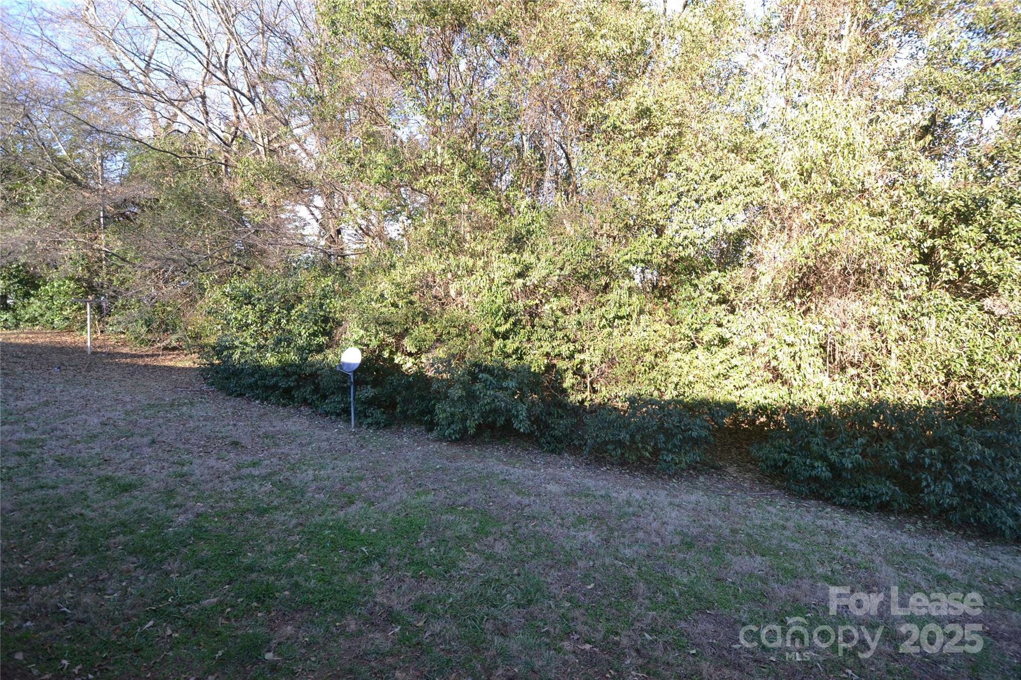 107 Ferstl Avenue Belmont, NC 28012 - Photo 15 of 15 a view of a forest with trees in the background