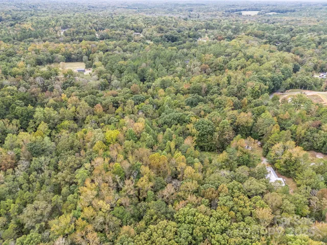 a view of a big yard with lots of trees