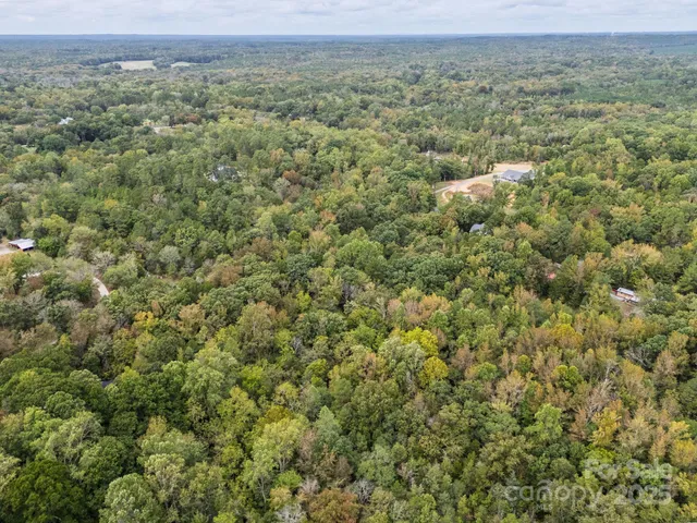 a view of a dry yard