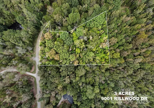 a view of a yard with a tree