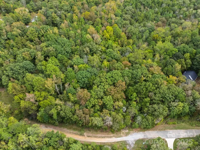 a view of a lush green forest with trees and grass