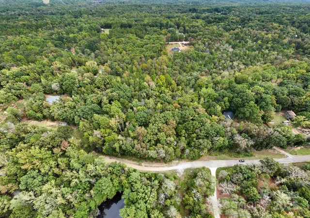 a view of a field with a lush green forest and trees in the background