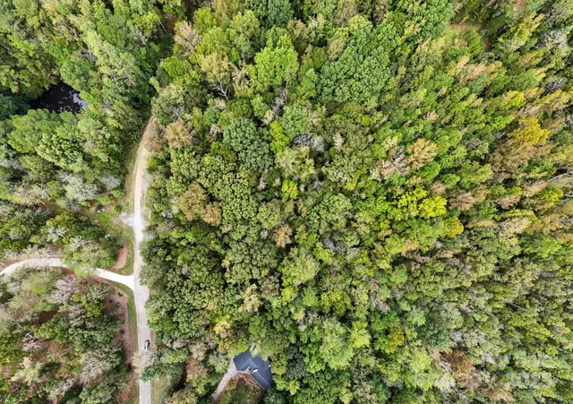 an aerial view of forest