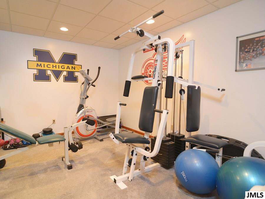7653 Snyder Road Rives Junction, MI 49277 - Photo 22 of 33 Photo 22