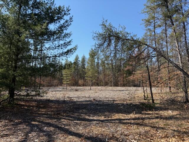 5209 South Nelson Road Idlewild, MI 49642 - Photo 2 of 15 IMG_5516