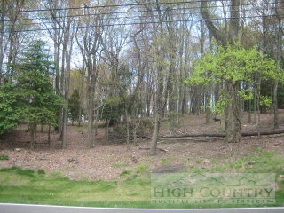 0 Ridge Road Glade Valley, NC 28627 - Photo 1 of 1 Gallery Image 1