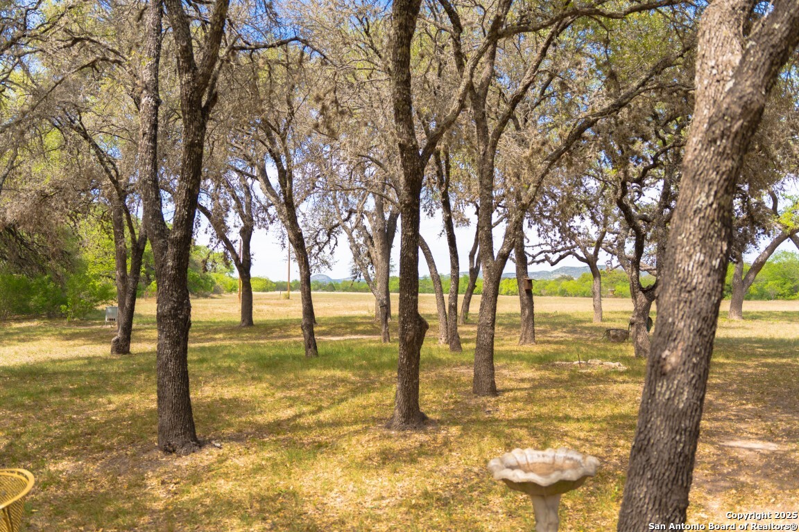 950 River Road Utopia, TX 78884 - Photo 7 of 31 Gallery Image 7